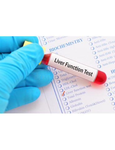 LIVER FUNCTION TESTS (LFT) (THY)